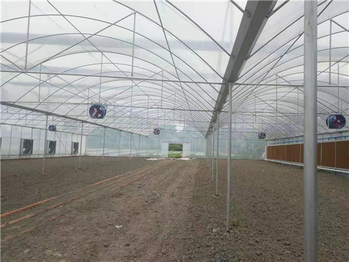 成都都江堰種植、養(yǎng)殖大棚